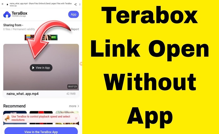terabox watch online