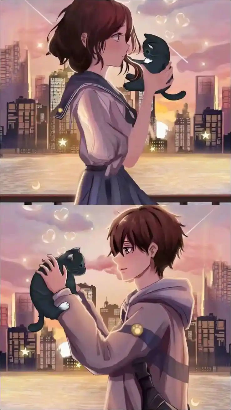 anime-dp anime-dp